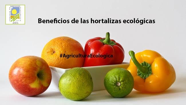 Cuáles son los beneficios de las hortalizas ecológicas