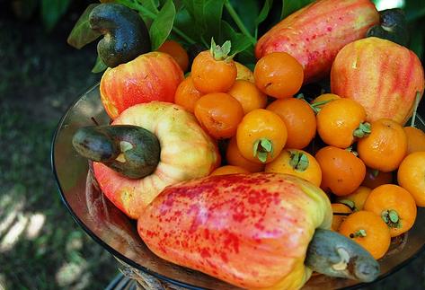 Numerosas comunidades autónomas mantendrán el Plan de Consumo de Fruta y Verdura en las escuelas el próximo curso