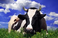 Los agricultores climáticos visitan Castilla y León