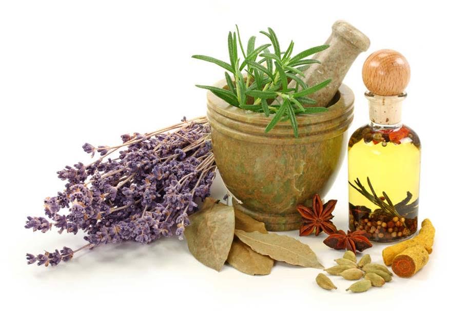 Te descubrimos toda la verdad sobre las plantas medicinales