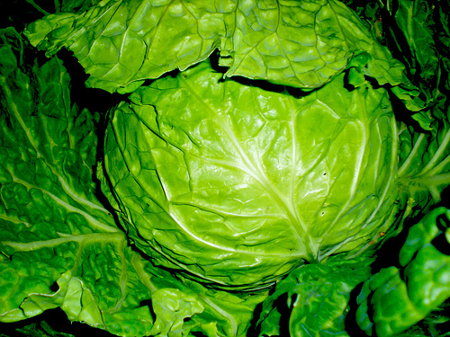 Con los rendimientos actuales