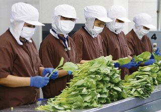 China prohíbe la importación de productos agrícolas de Japón