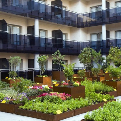 Los municipios de Tenerife promueven la creación de huertos urbanos