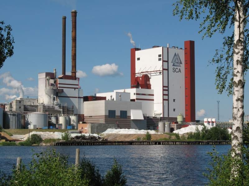 Los españoles buscan productos de higiene con etiqueta ecológica y un 50% deciden su compra influidos por ella