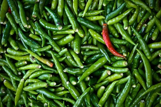 La guindilla y el control de la obesidad