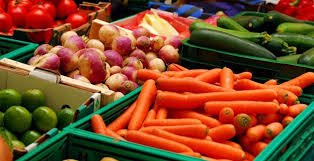 Andalucía. El Consejo inicia la tramitación de la Estrategia Andaluza de Bioeconomía