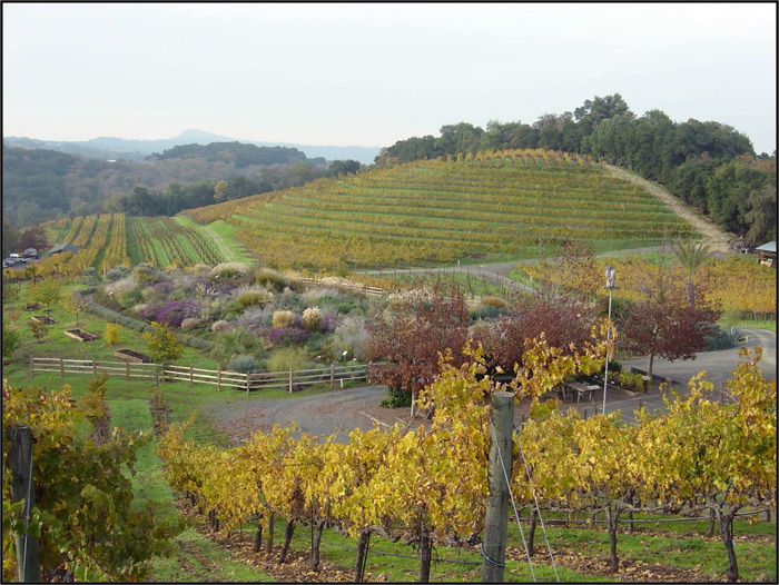 La Comunitat Valenciana colaborará con la red iberoamericana de agroecología