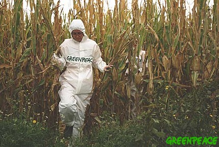 Los transgénicos no son la solución