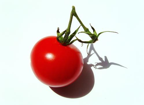 ¡Este tomate sabe a tomate!