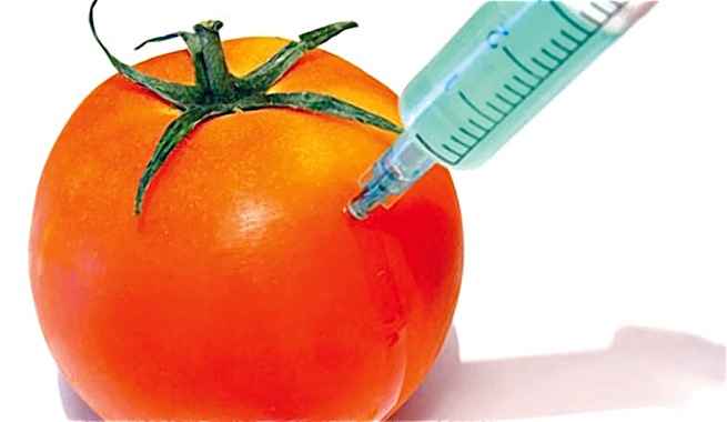 Los Estados miembros de la UE podrán ‘vetar’ el cultivo de transgénicos