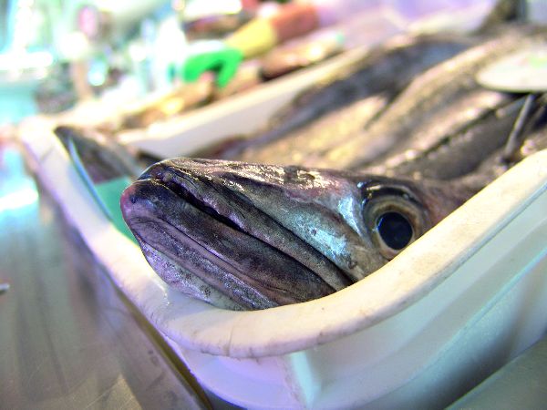 La pesca sostenible certificada crece en España
