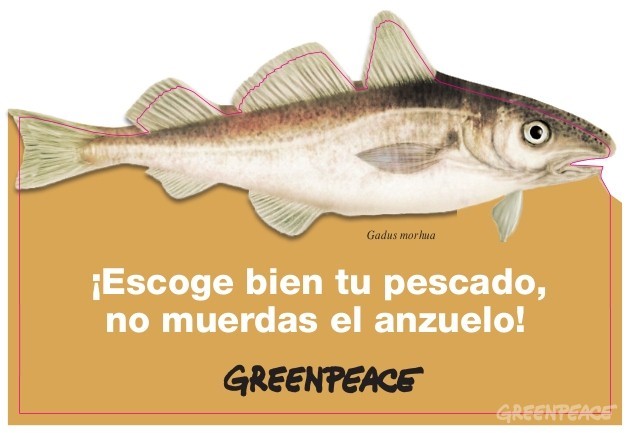 Escoge bien tu pescado no muerdas el anzuelo