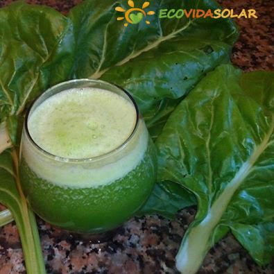 ‘Recetas Ecológicas’: Jugo verde detox de acelgas y manzanas