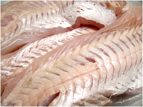 ECOticias analiza el impacto en la salud y el medioambiental del consumo de Panga