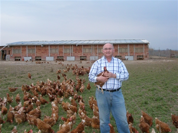 #SemanaAntitransgénica/ Juli Bergé