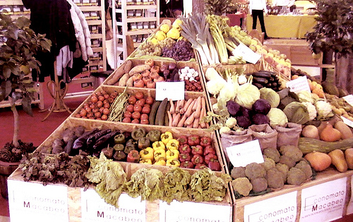 Proyecto de inserción que apuesta por el consumo ecológico