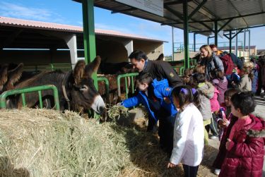 Zamora facilitará prácticas de producción ecológica a alumnos del instituto Alfonso IX