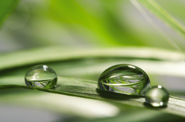 Los objetivos basados en la ciencia y la aplicación de Tecnologías Verdes son prioritarios