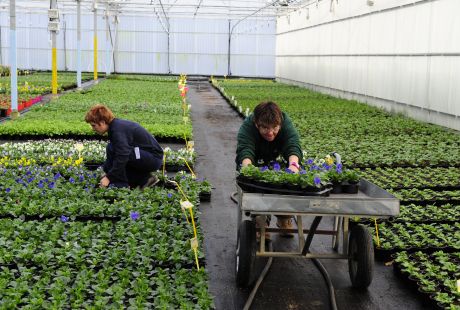 Santander implementa a su oferta ocupacional un taller de empleo de agricultura ecológica