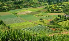 Agricultura ecológica ‘El VIDEO definitivo’