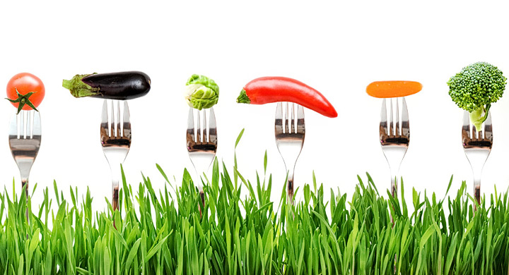 La alimentación ‘ECO’ está de moda en ECOticias.com