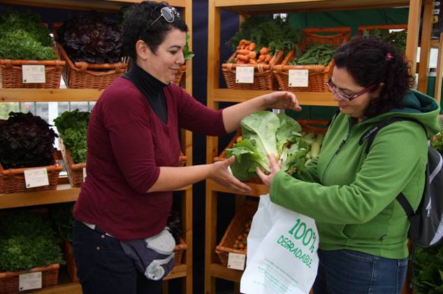 Las Palmas de Gran Canaria