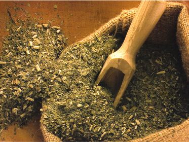 Beneficios de la yerba mate