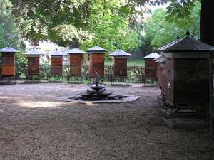 Los ‘mieladictos’