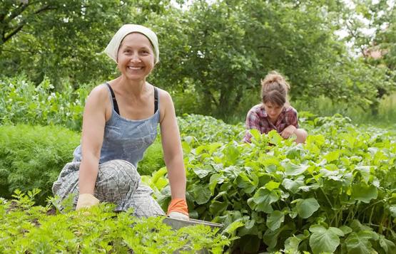 Agricultura y alimentación