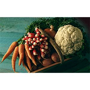 España ocupa el primer lugar de la UE en superficie dedicada a la Agricultura Ecológica