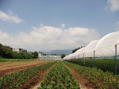 SEAE asesora la conversión a la Agricultura Ecológica
