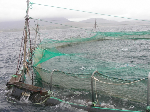 PESCADO BIO Los mejores productos del mar