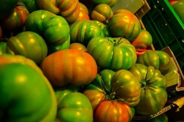 Andalucía lidera las ventas de productos agroalimentarios y bebidas en el exterior hasta julio