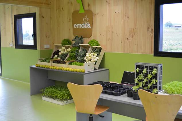 El sector agroecológico en Bizkaia