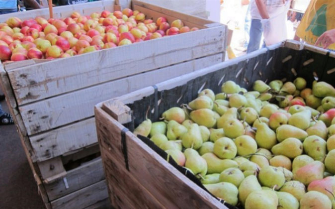 Los agricultores podrán tramitar desde este martes la retirada de fruta con cargo al cupo adicional aprobado por la UE
