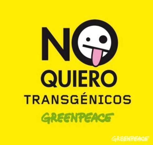 Testimonio de los daños que producen los cultivos transgénicos