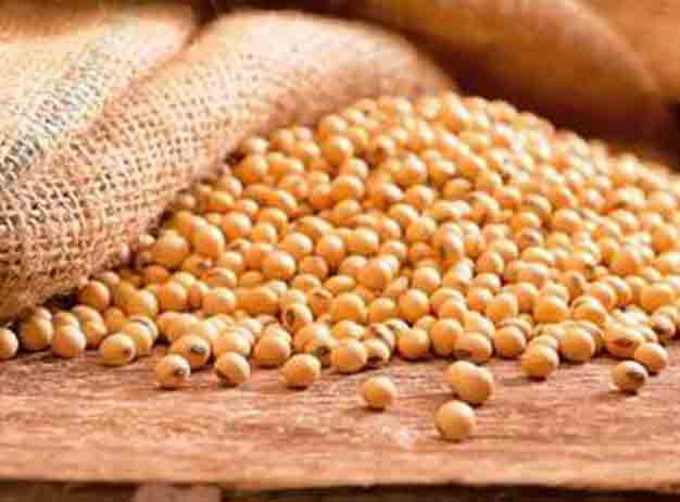 Los medicamentos con una concentración adecuada de isoflavonas de soja alivian los sofocos de la menopausia