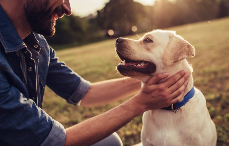 Salamanca se une contra el abandono animal