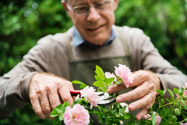 La jardinería es una grandísima idea para las personas mayores