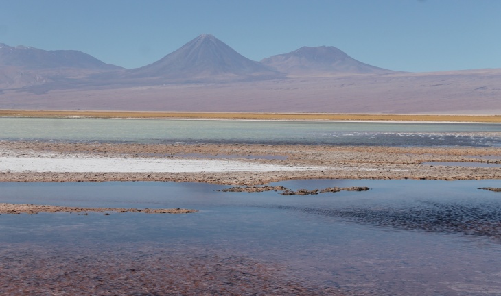 Tecnología verde para evaluar los efectos del cambio climático sobre la biodiversidad