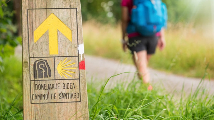 El Camino de Santiago