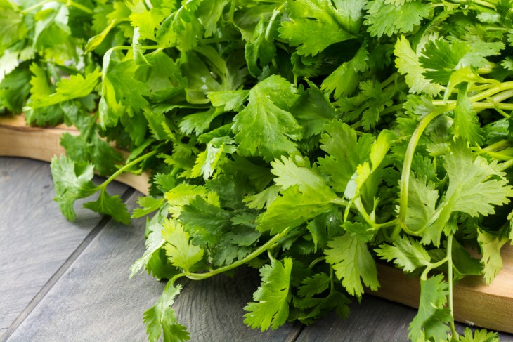 Los milagros del cilantro