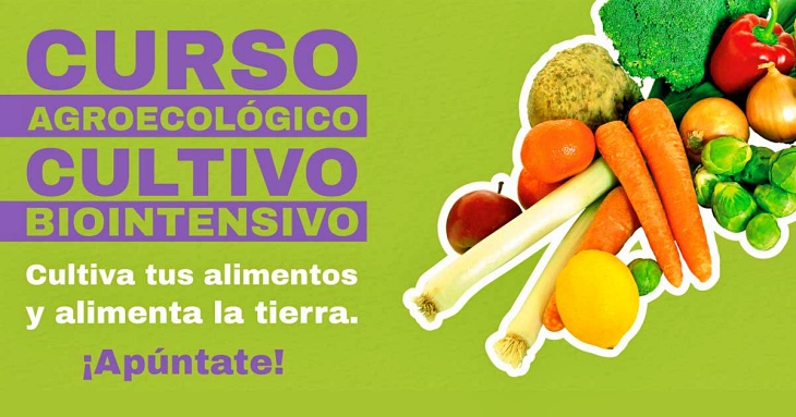 Amigos de la Tierra promueve nuevas iniciativas agroecológicas con su proyecto de cultivo biointensivo