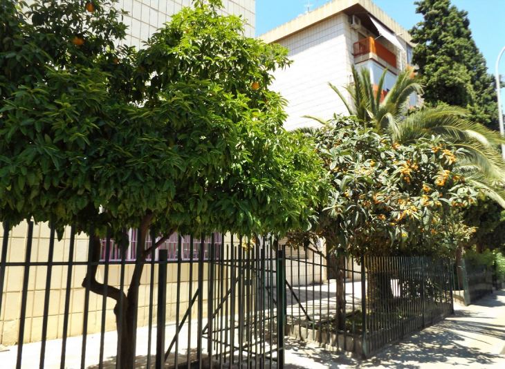 Aumentan las alergias cruzadas entre árboles y frutos en las ciudades