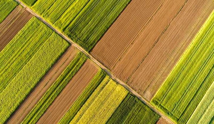 La producción ecológica ya representa el 17