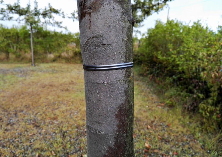 Tecnología verde. E-Cont3