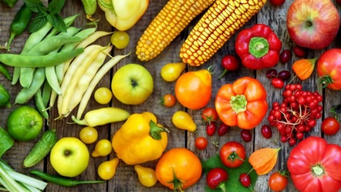 Qué es La Casa Ecológica de Siete Semillas