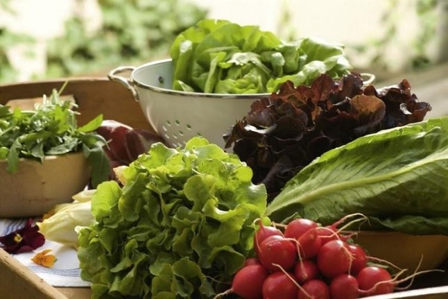 España hace publica su Estrategia para la Producción Ecológica 2018-2020