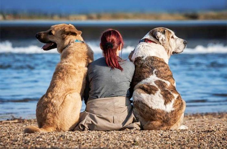 Proyecto #MejoresAmigos