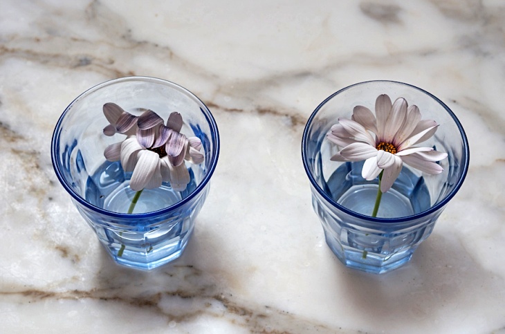 Agua Viva: Por qué es necesario vitalizar el agua